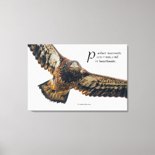 Inspiration Zitat Adler im Flug Leinwanddruck