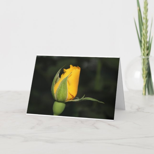 Inspirations-Rosenkarte mit Bibelvers Karte (Vorderseite)