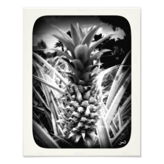 Inspirationsblitz Fotodruck