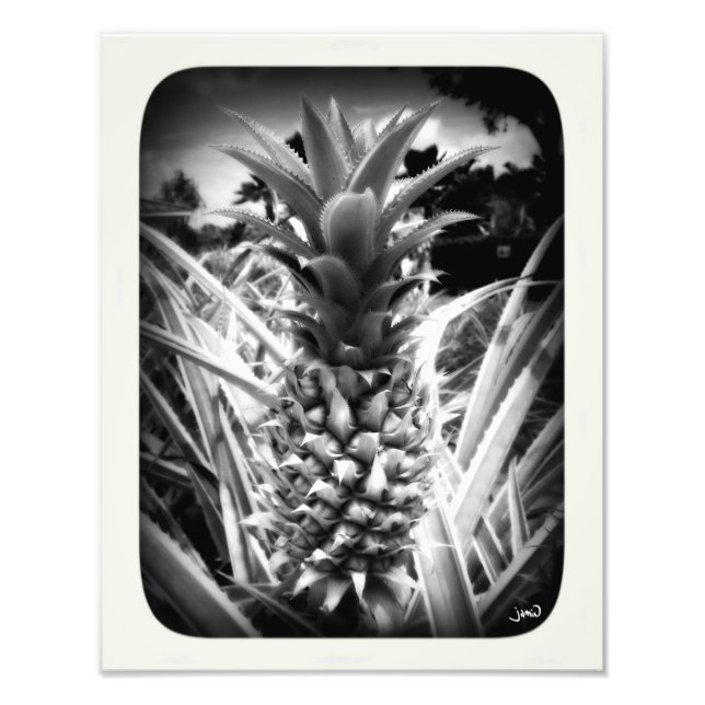 Inspirationsblitz Fotodruck (Vorne)