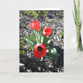 Inspirationsförderungskarte für die Ferien Feiertagskarte