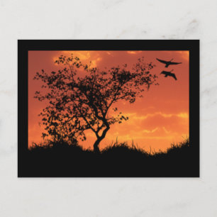 Inspirationskarte eins postkarte