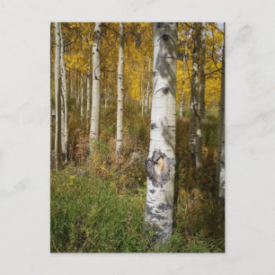 Inspirationskarte Postkarte