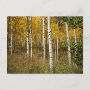 Inspirationspostkarte Postkarte