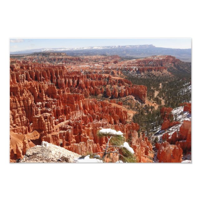 Inspirationspunkt am Bryce Canyon I Fotodruck (Vorne)