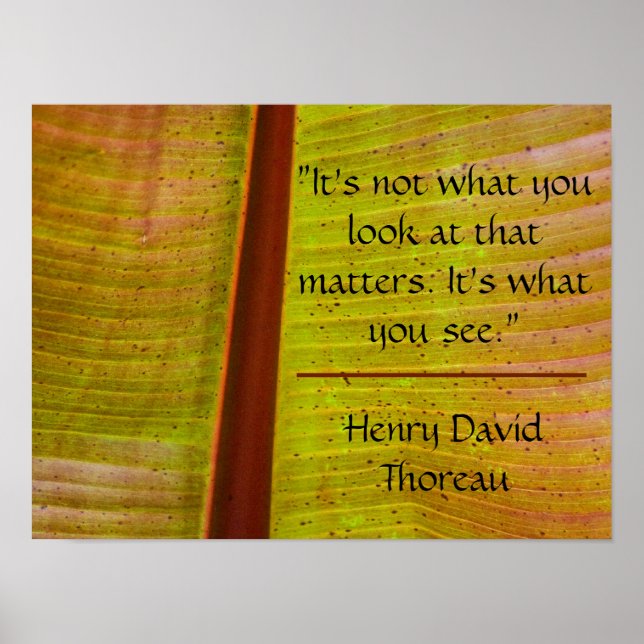 Inspirationsquelle Poster (Vorne)