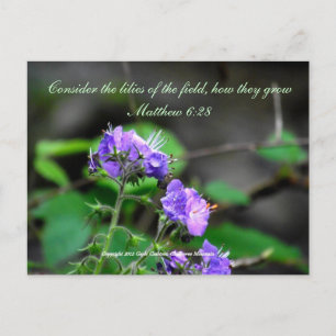Inspirationsskriptureflower Postcard Wildnis Postkarte
