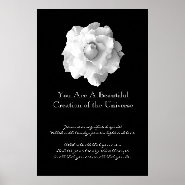 Inspirationsweiße Rose Poster (Vorne)