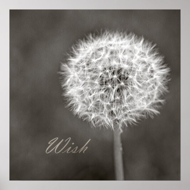 Inspired Wish Dandelion Poster (Vorne)