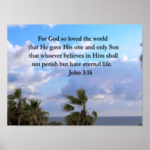 INSPIRIER JOHN 3:16 FOTO POSTER