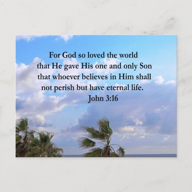 INSPIRIER JOHN 3:16 FOTO POSTKARTE (Vorderseite)