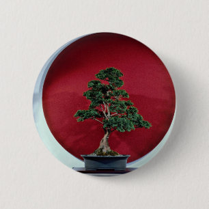 Inspirieren des Bonsaisbaums Button
