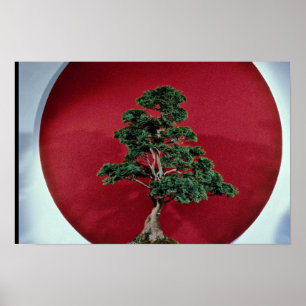 Inspirierend Bonsai-Baum Poster