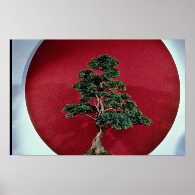 Inspirierend Bonsai-Baum Poster (Vorne)