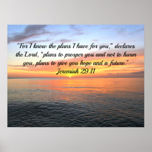 INSPIRIEREND JEREMIAH 29:11 SONNENREISE "PLANS FOR POSTER