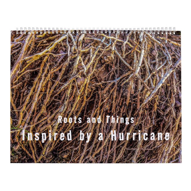 Inspiriert durch einen Hurrikan-Kalender Kalender (Titelbild)