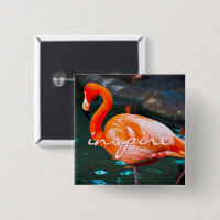 Inspiriert Script Rosa Flamingo Foto Modernes Stil