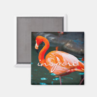 Inspiriert Script Rosa Flamingo Foto Modernes Stil
