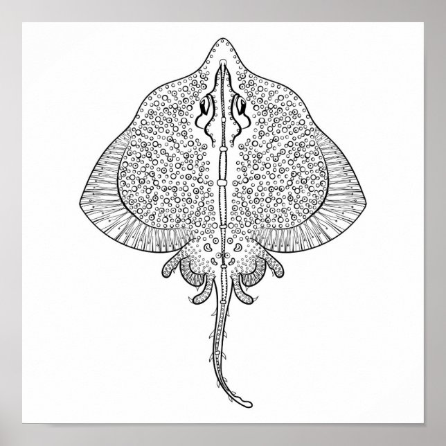 Inspiriert Stingray Totem 2 Poster (Vorne)