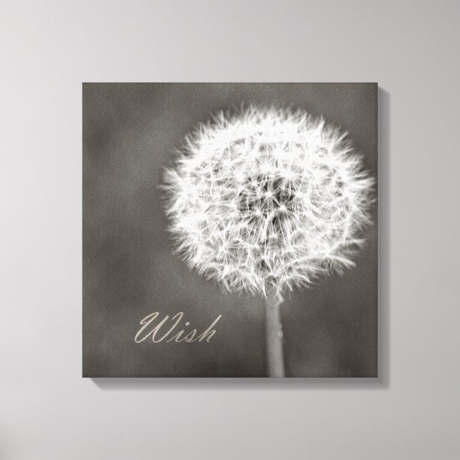 Inspiriert Wish Dandelion Leinwanddruck (Vorderseite)