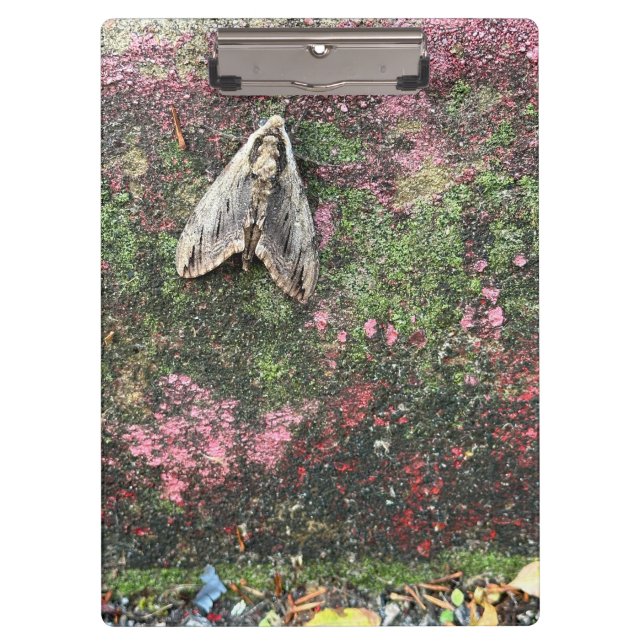 Inspirierte Motte Klemmbrett (Vorderseite)