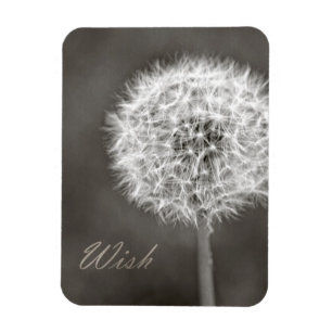 Inspirierte Wischleuchter Magnet