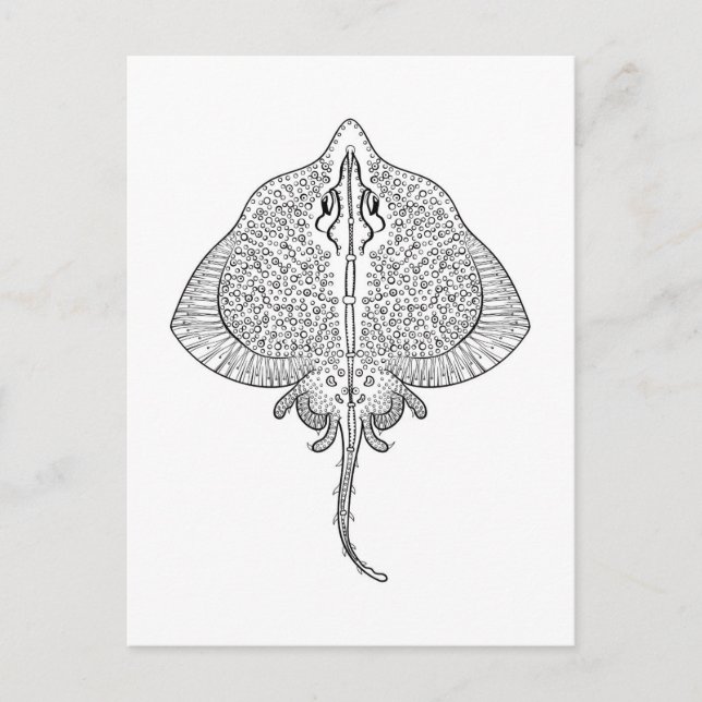 Inspiriertes Stingray Totem Postkarte (Vorderseite)