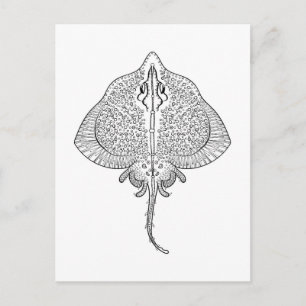 Inspiriertes Stingray Totem Postkarte