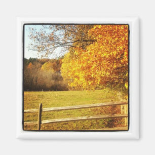 instagram Fotomagnet Magnet