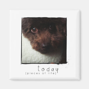 instagram Freund-Fotomagnet Magnet