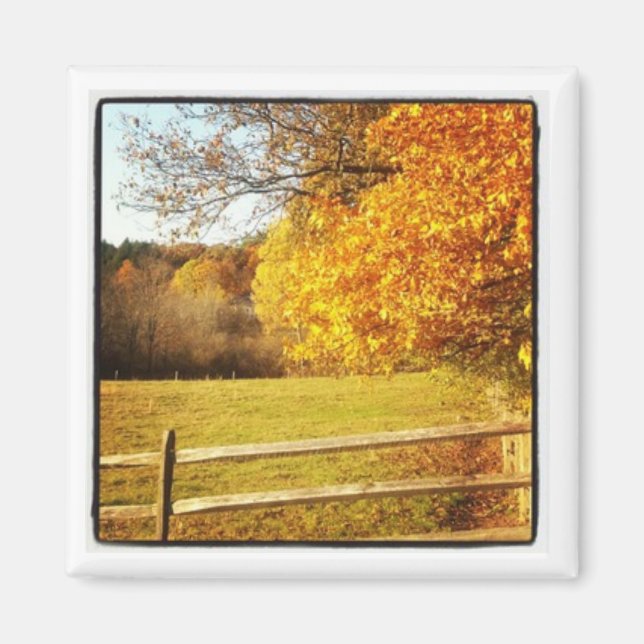 Instagramm-Foto-Magnet Magnet (Vorne)