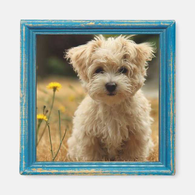 Instagramm-Foto-Magnet Magnet (Vorne)