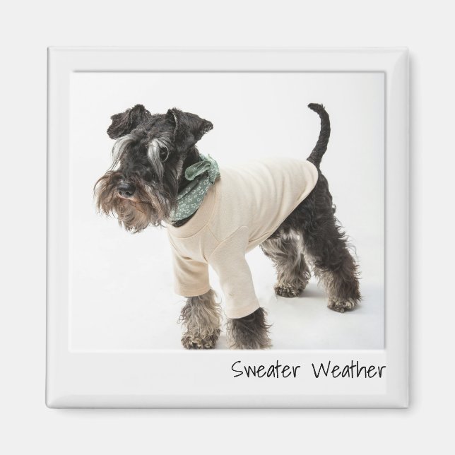 Instant Camera Custom Magnet für das Kühlerwetter (Vorne)