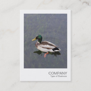 Instant Foto 012 - Mallard Duck Visitenkarte
