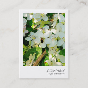 Instant Foto 018 - Cherry Blossom Honey Visitenkarte