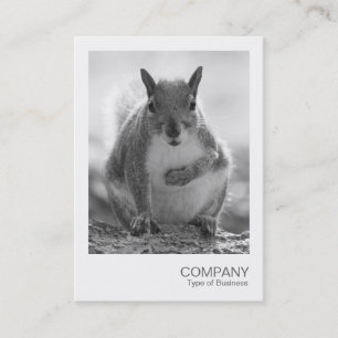Instant Foto 045 - Graues Eichhörnchen BW Visitenkarte