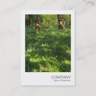 Instant Foto 073 - Frühjahr im Wald Visitenkarte