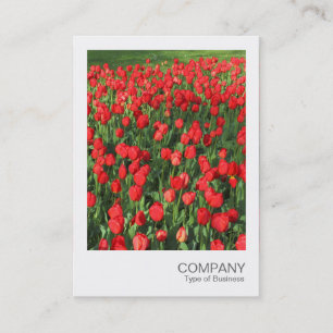 Instant Foto 087 - Bett von Red Tulips 02 Visitenkarte