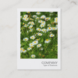 Instant Foto 091 - Daisy Meadow Visitenkarte