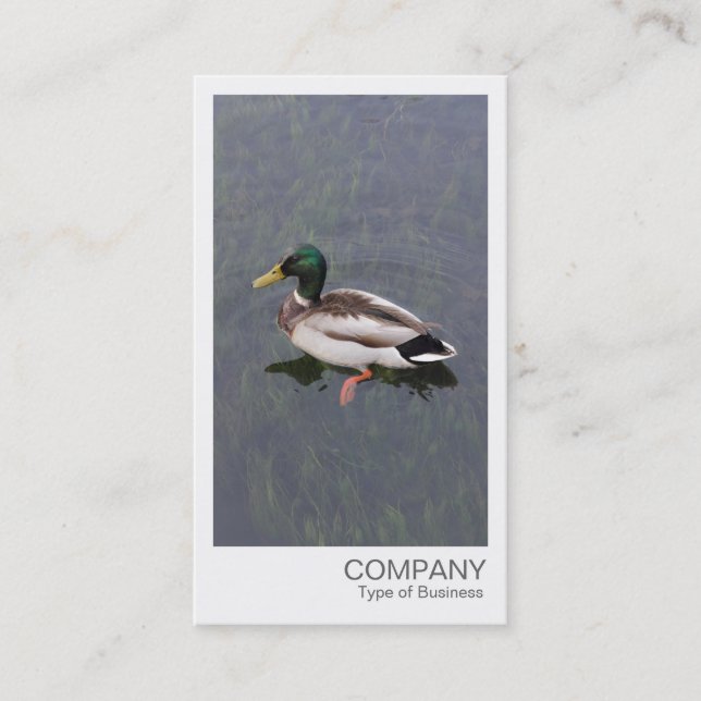 Instant Foto - Mallard Duck Visitenkarte (Vorderseite)