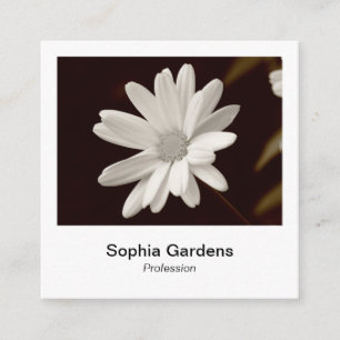 Instant Foto Style - Daisy Quadratische Visitenkarte