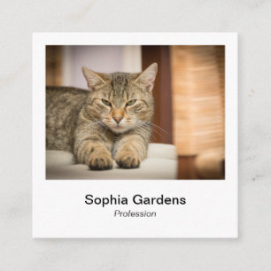 Instant Foto Style - Tabby Cat Quadratische Visitenkarte
