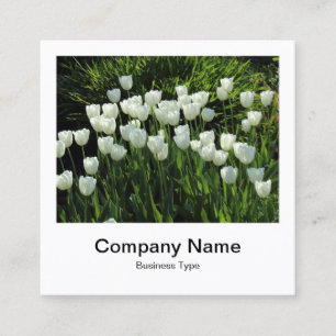 Instant Foto Style - Unternehmen - White Tulips Quadratische Visitenkarte