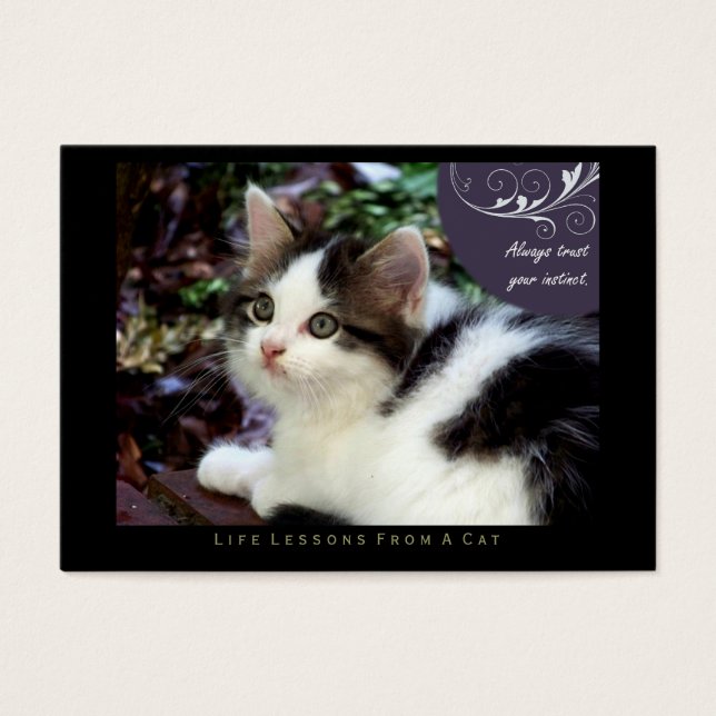 Instinkte Lebensstunden von Cat ACEO Art Cards (Vorderseite)