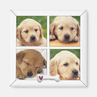 Instragram Foto Hundeschleifmagnete Magnet