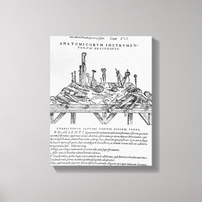 Instrumente für Abbildungen, Abbildungen aus "De" Leinwanddruck (Vorderseite)