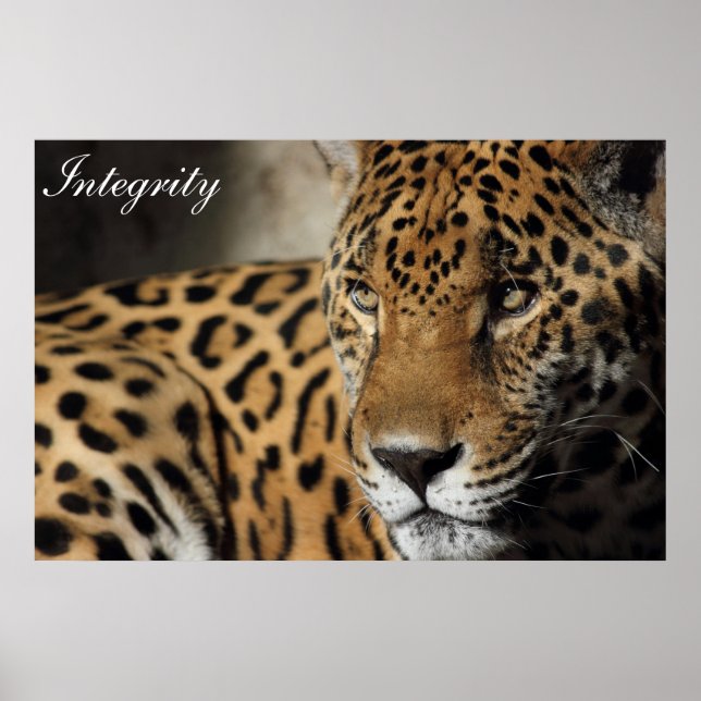 Integrität Poster (Vorne)