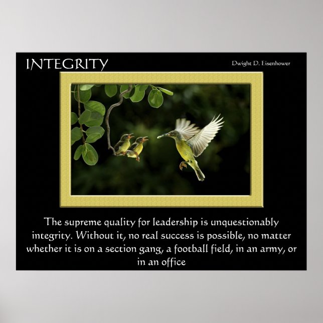 INTEGRITY Hummingbird Posters Poster (Vorne)