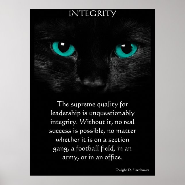 INTEGRITY Posters Poster (Vorne)