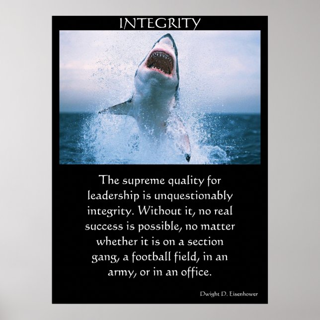 INTEGRITY Posters Poster (Vorne)